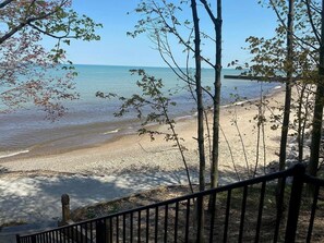 Une plage bordée d’arbres et dotée d’une clôture en bois.