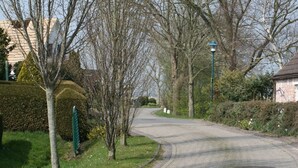 Un camí asfaltat serpegen per una zona residencial amb cases i arbres.