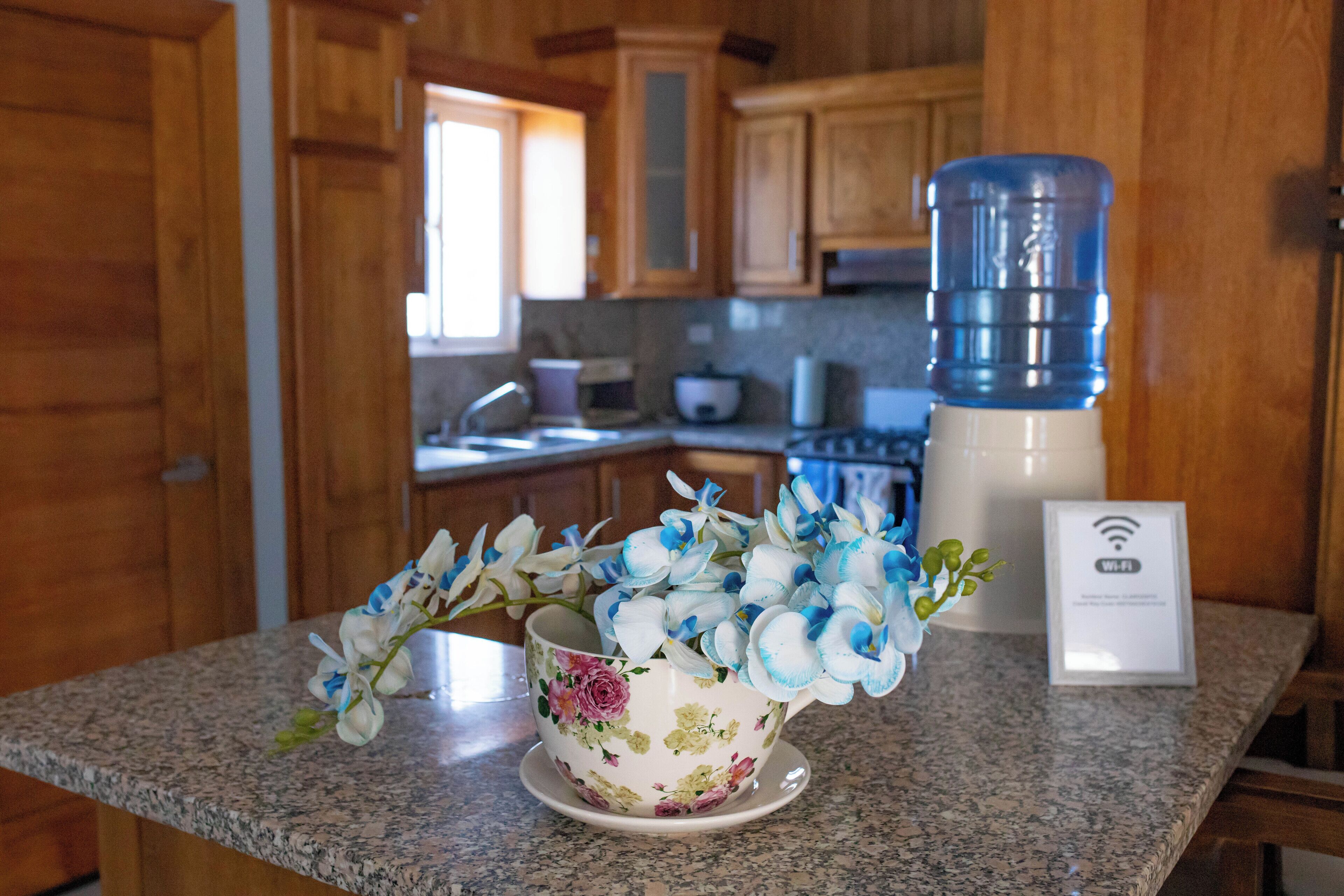 Fridge, microwave, oven, coffee/tea maker