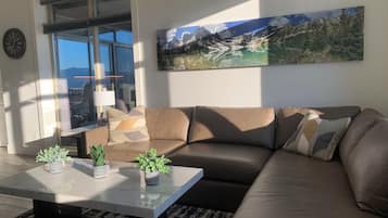 Smart TV, chimenea, libros, estéreo