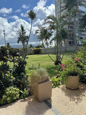 Property grounds - Puerto Rico, Tropical Beachfront Condo, Balcony with Ocean View, Pool, WiFi, AC (Luquillo)