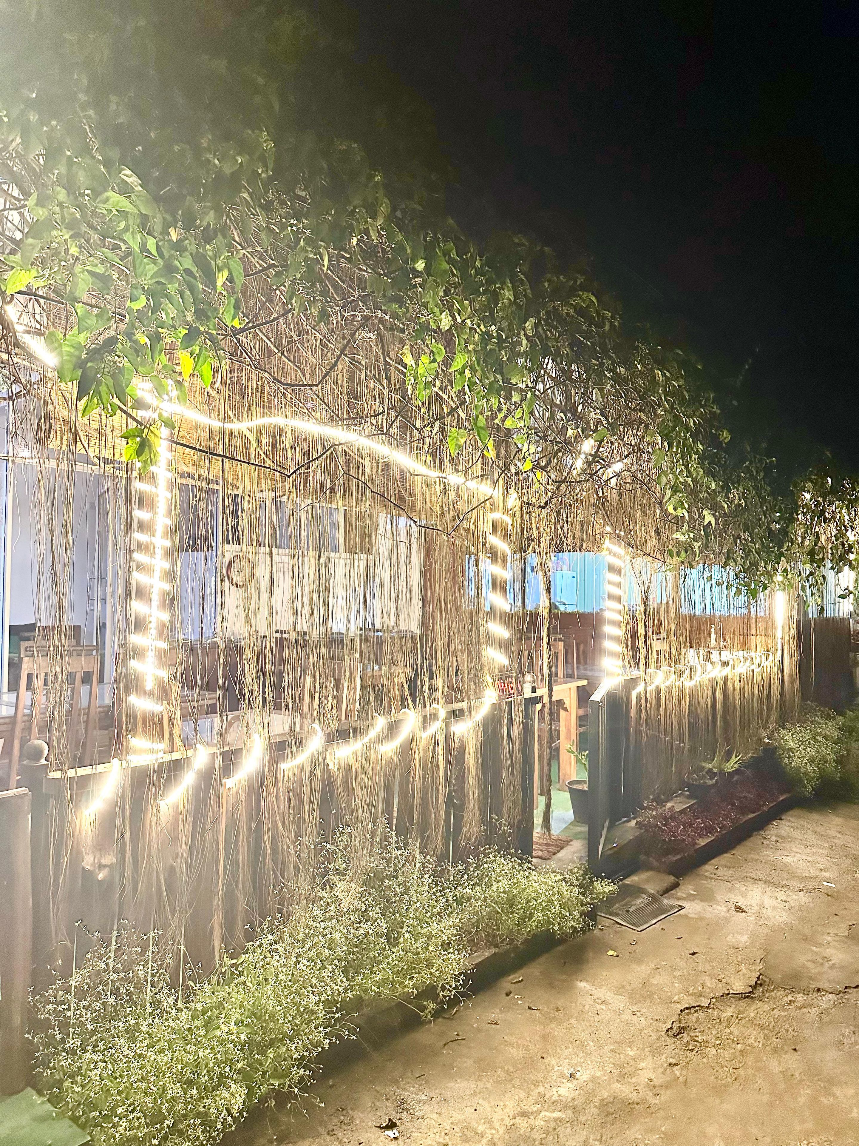 Un espace jardin agrémenté d’une clôture décorée de guirlandes lumineuses, d’un banc en bois et d’une grille métallique posée au sol.