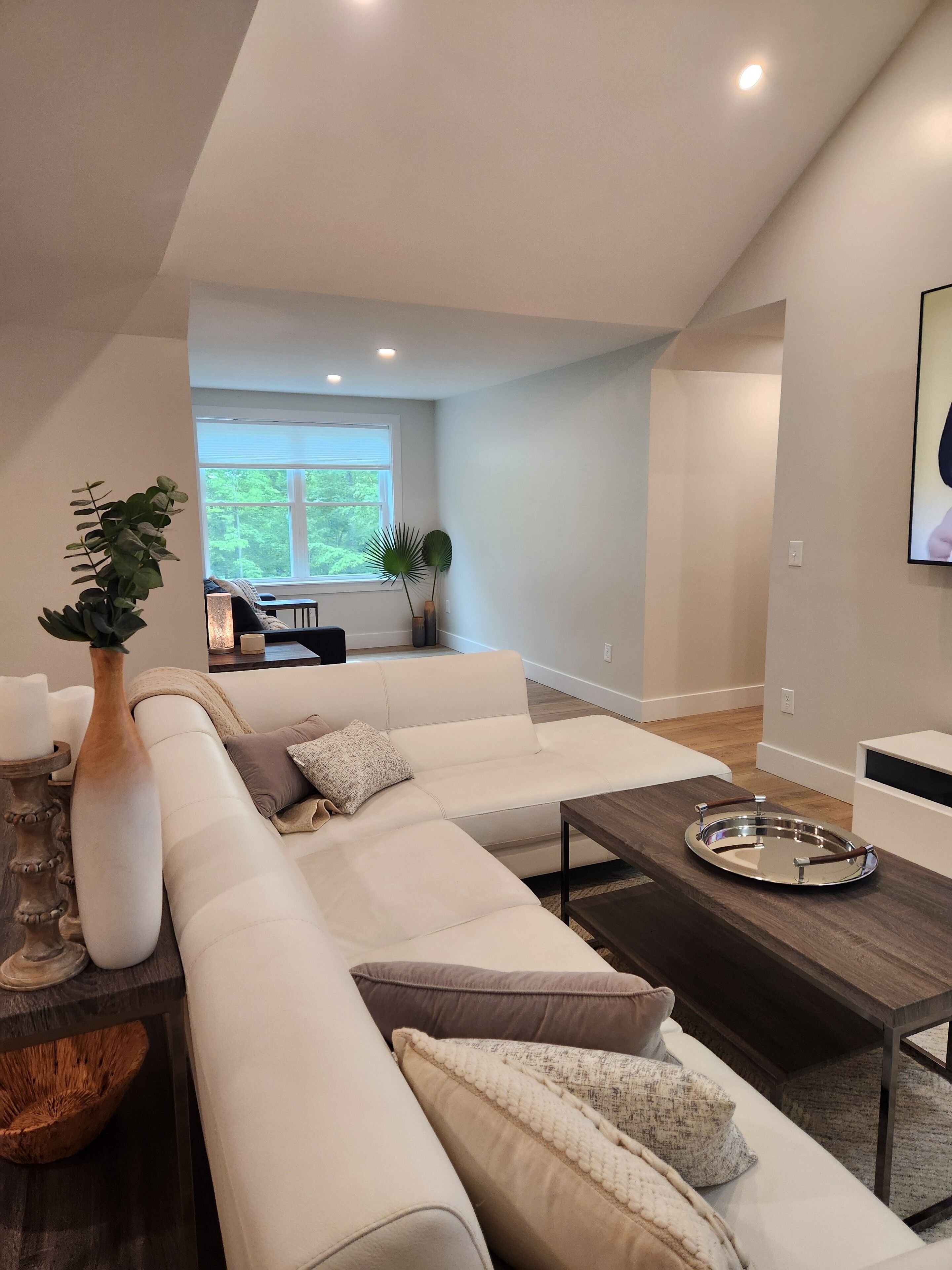 Smart TV, books, stereo