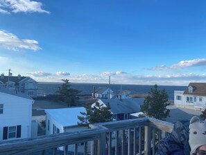 Property grounds - 4-bedroom house in North Beach, with WiFi and Central AC and two outdoor showers (Long Beach)