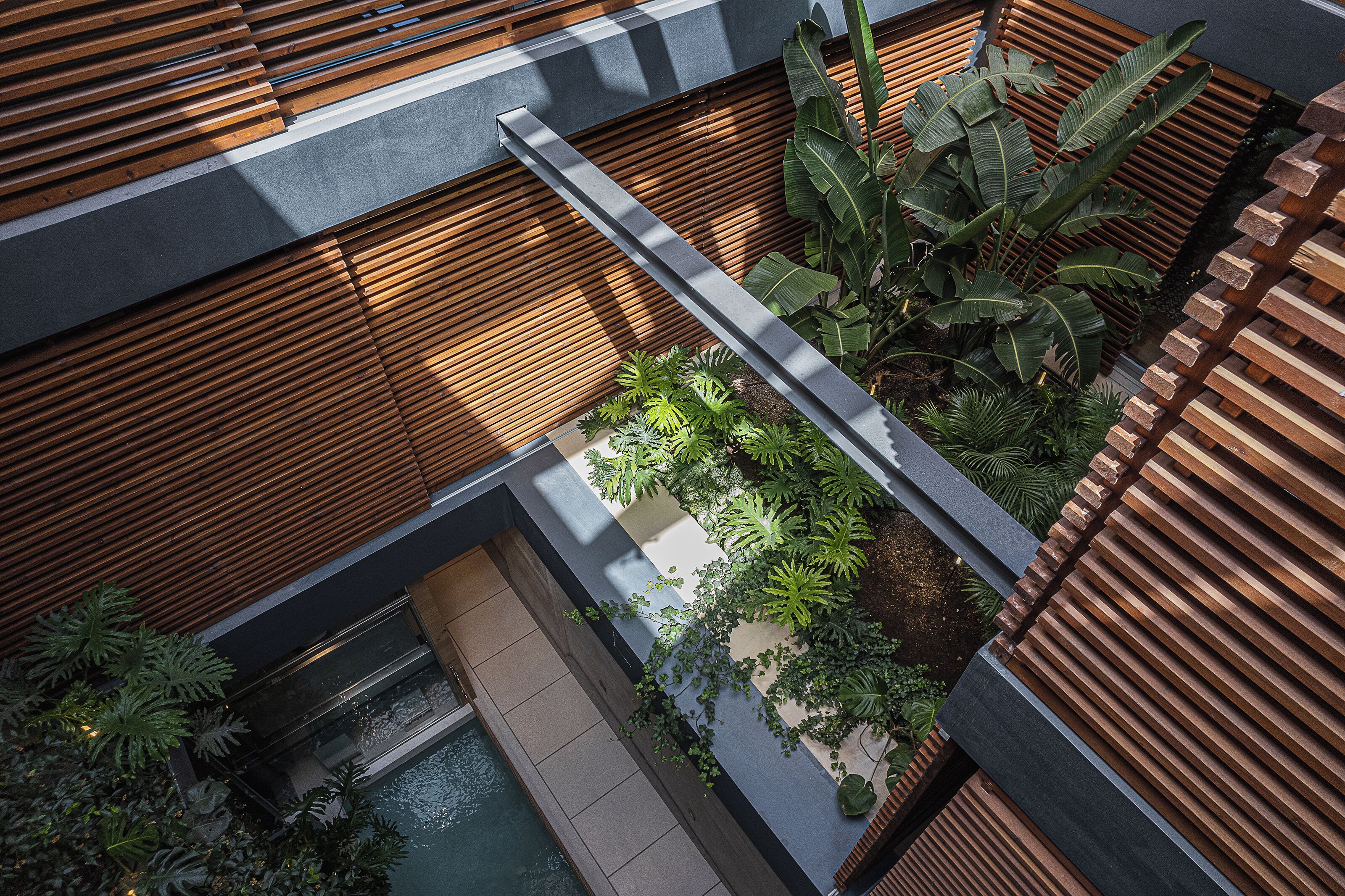 Photo - Elysia Boutique Hotel