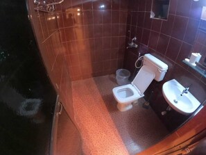 淋浴设施、免费洗浴用品、毛巾、肥皂