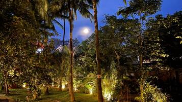 Deluxe Double Room, Garden View | Garden view