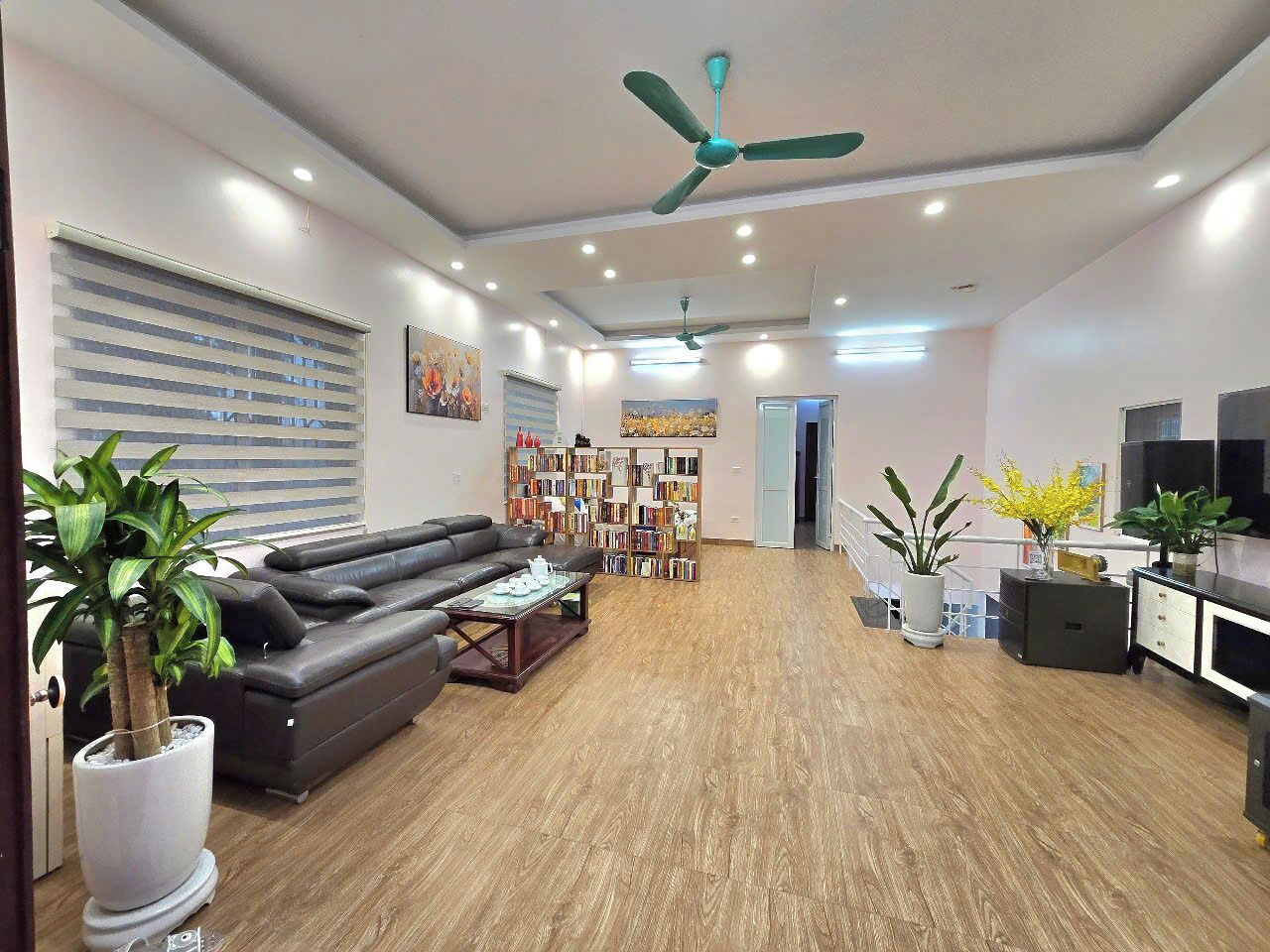 A modern living room with a black leather sofa, a coffee table, a bookshelf, and two potted plants.