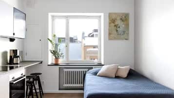 Basic Apartment, City View | View from room