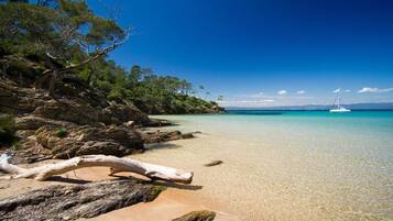 Uma praia com águas turquesa cristalinas, um veleiro ao longe e um grande tronco de árvore caído em primeiro plano.