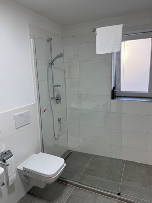 Douche, sèche-cheveux, serviettes fournies, savon