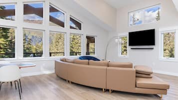 Smart TV, fireplace, video games, books