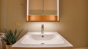 A bathroom with a white sink, a mirror, and a potted plant.