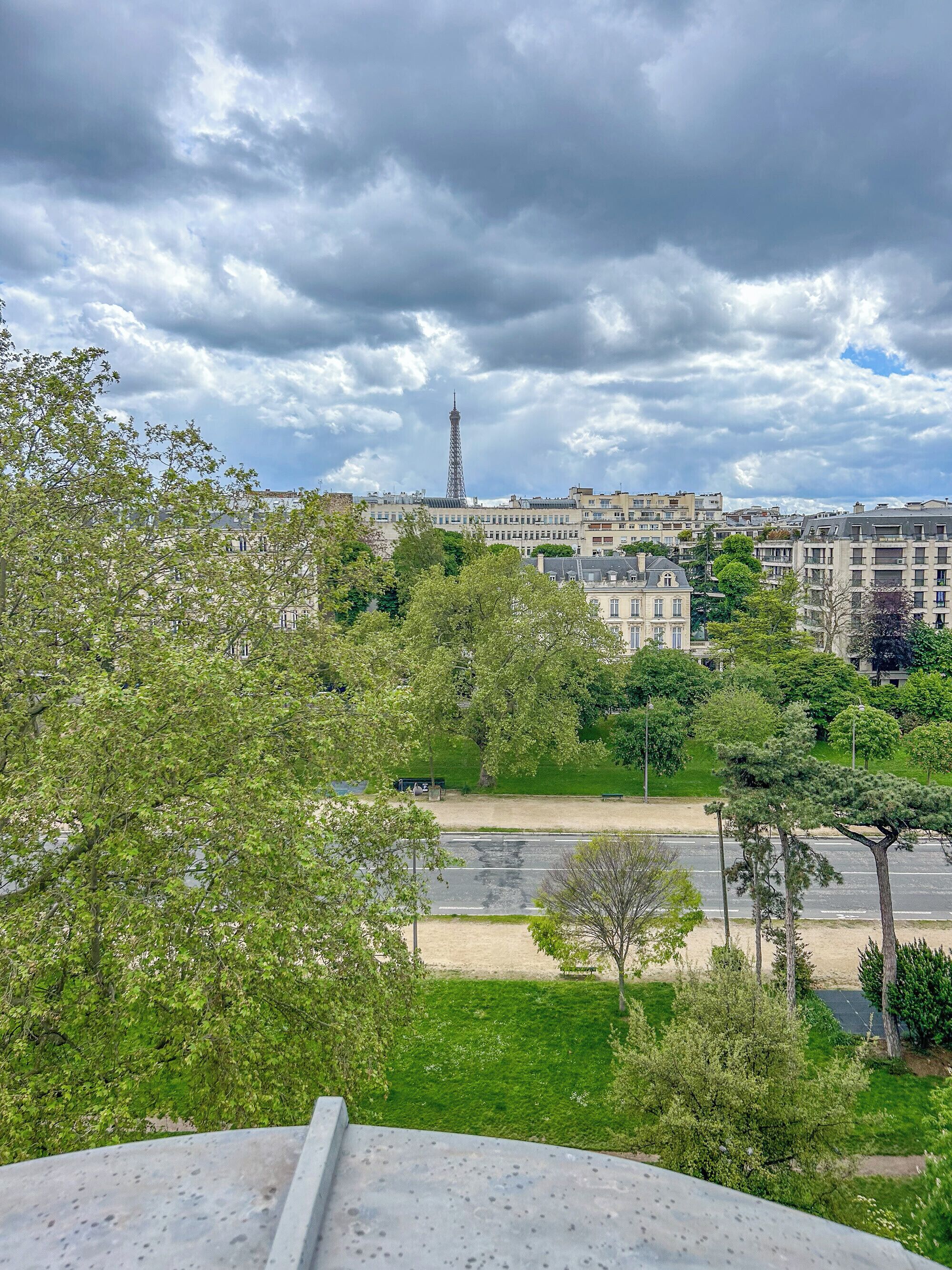 A park with a road, trees, and buildings in the background.