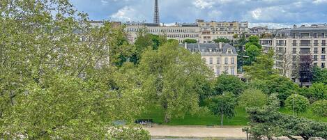 A park with a road, trees, and buildings in the background.