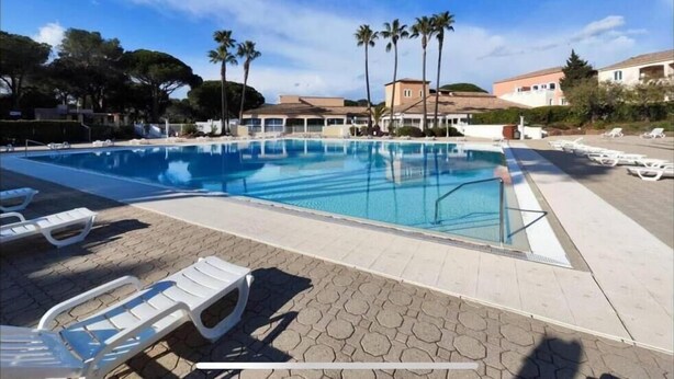 Ein Pool mit Liegestühlen und Palmen.
