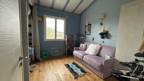 TV connectée, cheminée, livres, imprimantes