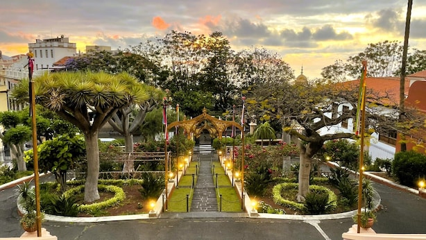 Un jardín bien cuidado con un camino central que lleva a un arco decorativo, rodeado de diversas plantas y árboles.