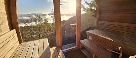 House | Sauna