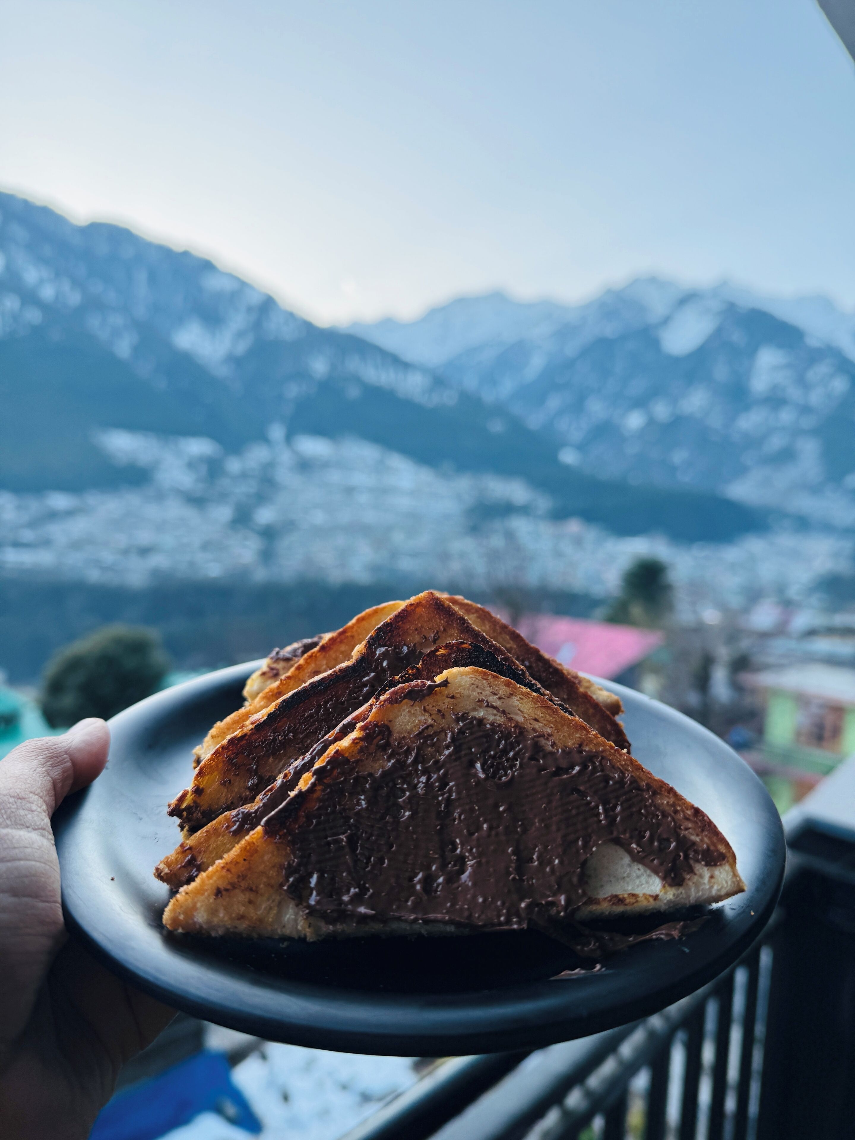 A hand holding a plate with a slice of chocolate cake, with a mountain range in the background.