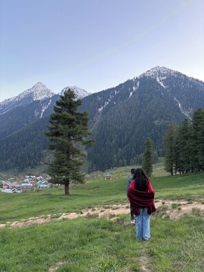 Hiking - Kolahoi Heights  (Pahalgam)