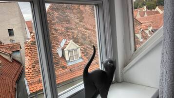 Suite Deluxe, vista città | Vista dalla camera