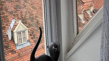 A black cat on a window sill overlooking a red-tiled roof with a small house model.
