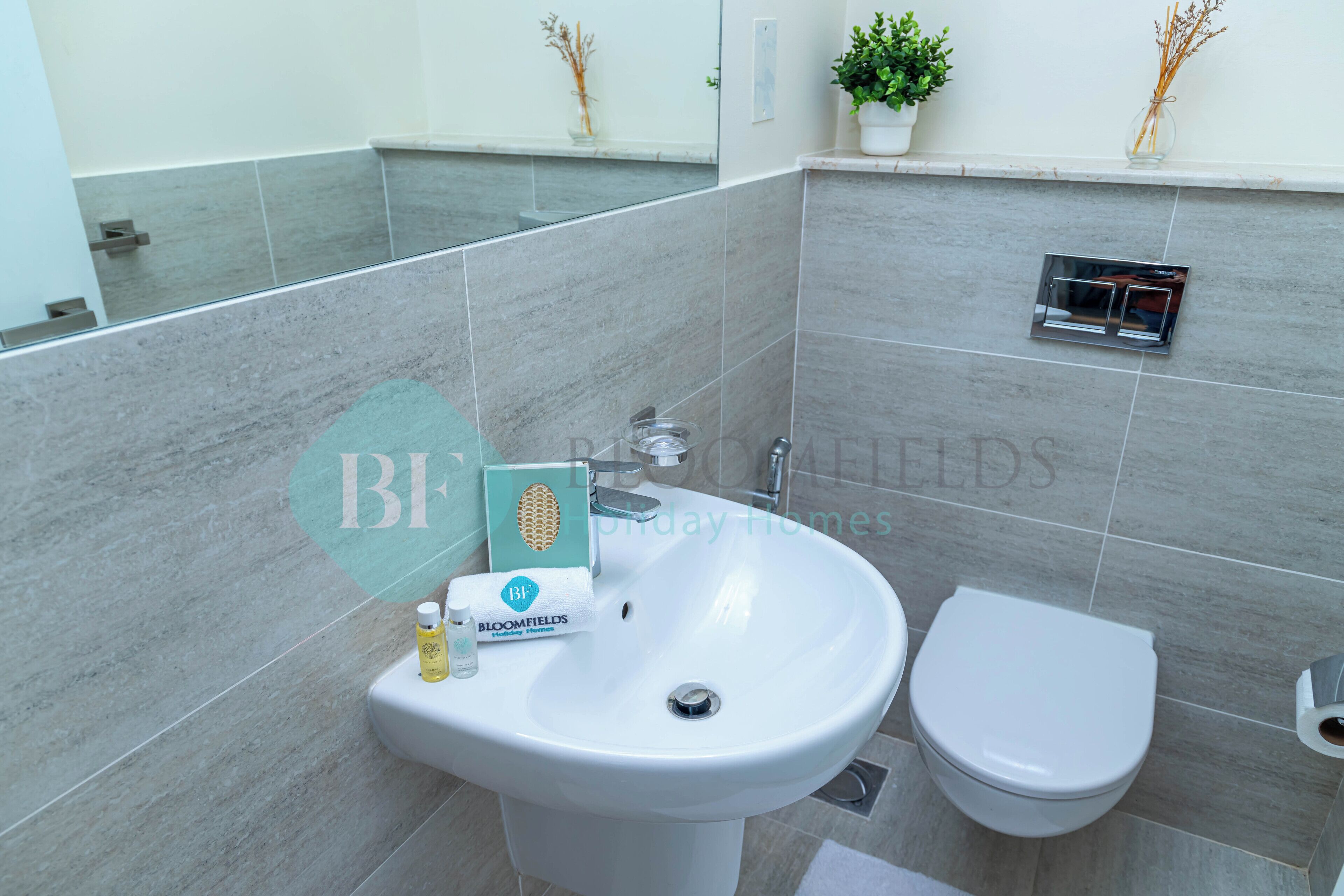Une salle de bain avec un lavabo blanc, des toilettes et un miroir. On trouve des articles de toilette sur le lavabo et une plante en pot accrochée au mur.