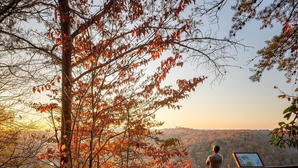A wooden observation deck with a metal railing, overlooking a forested valley during sunset. - ๐๐ข๐ ๐๐จ๐ฎ๐ญ๐ก ๐
๐จ๐ซ๐ค Retreat! Excellent LocationโขPrivateโขWIFI, 75โ TV, Horses Welcome! (Strunk)