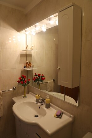 Hair dryer, bidet, towels, soap