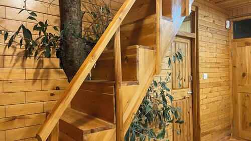 Jibhi Bliss treehouse Cottage-1