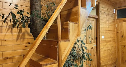 Jibhi Bliss treehouse Cottage-1