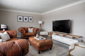 Smart TV, fireplace, books