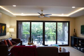 TV, DVD player, video library