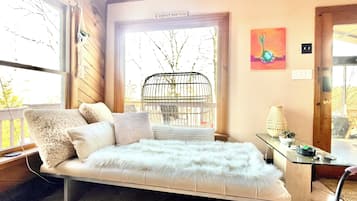 Smart TV, fireplace, books, music library