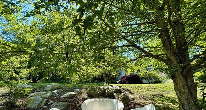 Enchanting Lake front chalet with backyard and fire pit. Dog friendly.