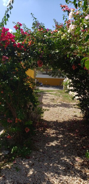 Overnattingsstedets uteområder