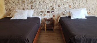 Rustic charm in the heart of valladolid: with regional decoration and hammock