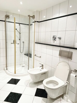 Shower, bidet, soap, toilet paper