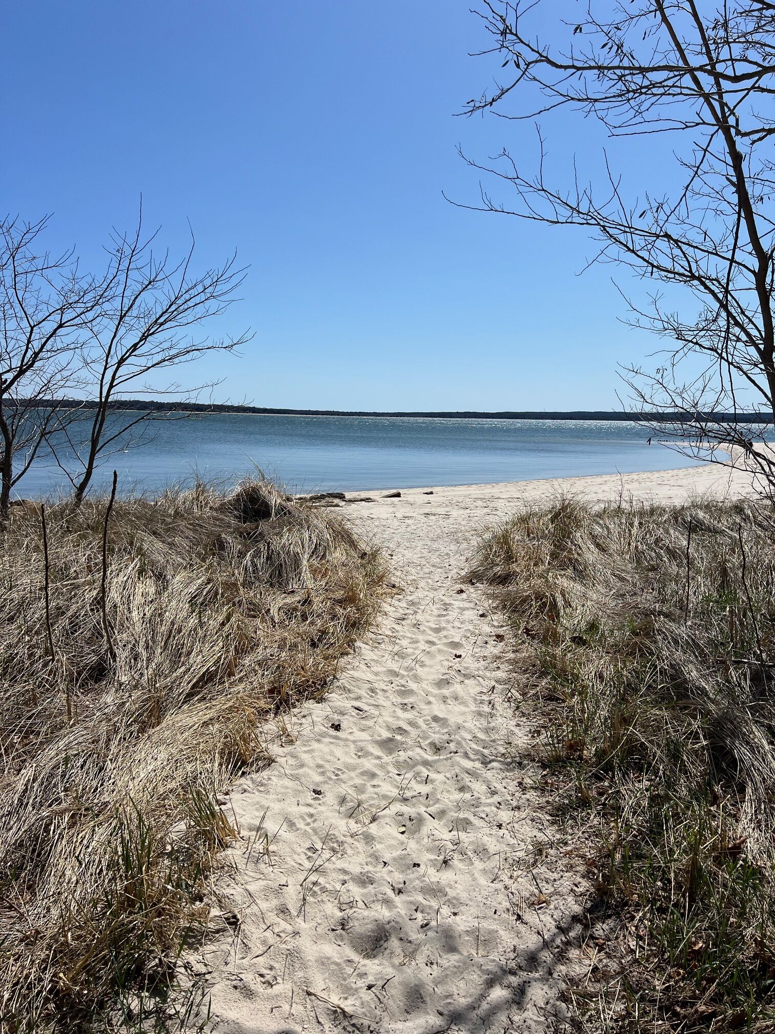Beach nearby, sun-loungers, beach towels