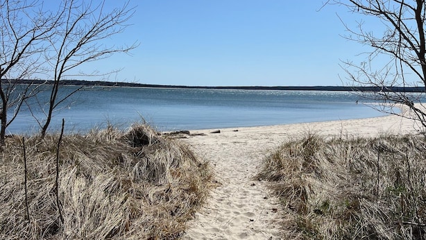 A sandy beach path leading to a calm sea under a clear sky. - Charming Beach Cottage, Steps to Beach, Enjoy Scenic Vineyards & Farm Stands (South Jamesport)