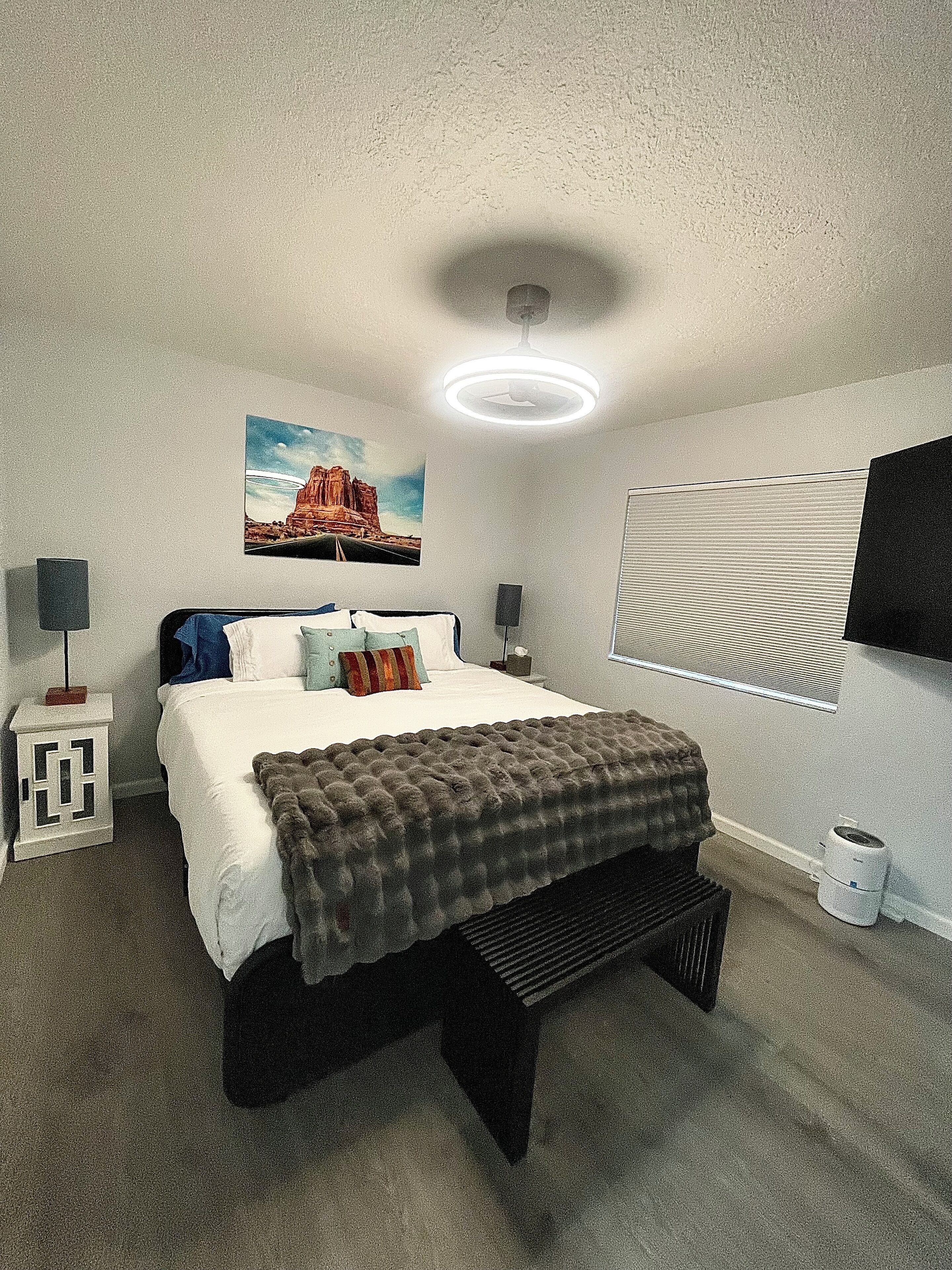 A bedroom with a bed, a ceiling light, a wall-mounted TV, a window with blinds, and a picture of a rock formation.