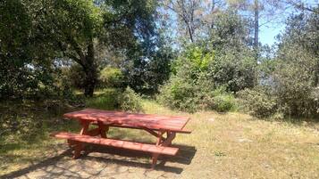 A picnic table in a natural setting with trees and grass.
