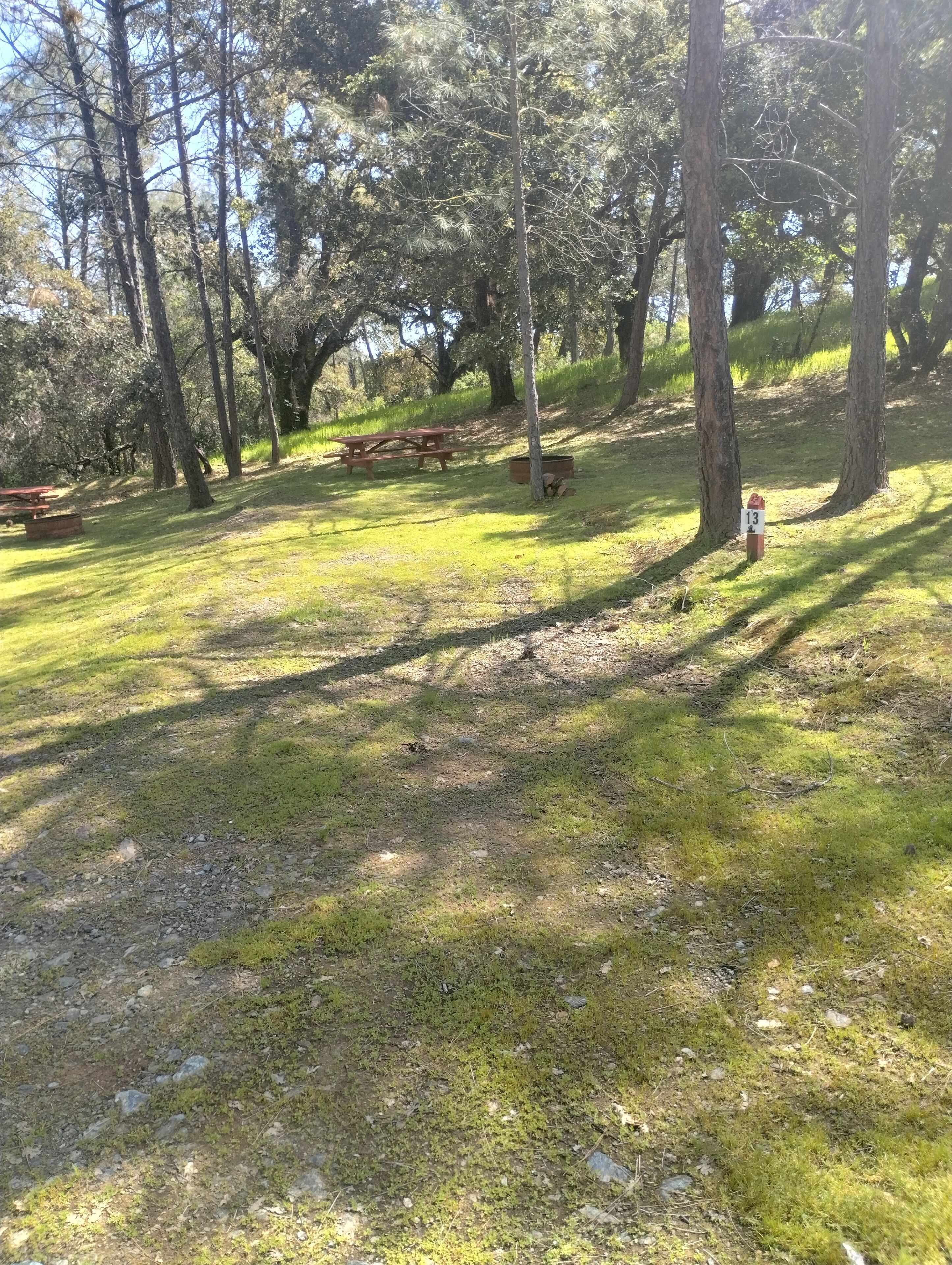 A picnic area with benches and a picnic table, surrounded by trees and grass.