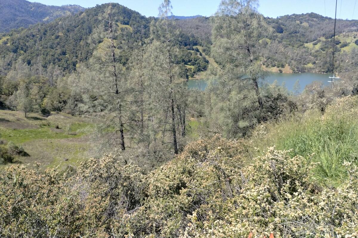 A natural landscape with a lake, trees, and hills.