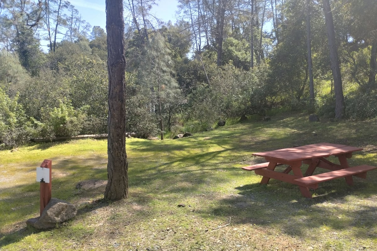 A picnic table in a wooded area with a sign on a post.