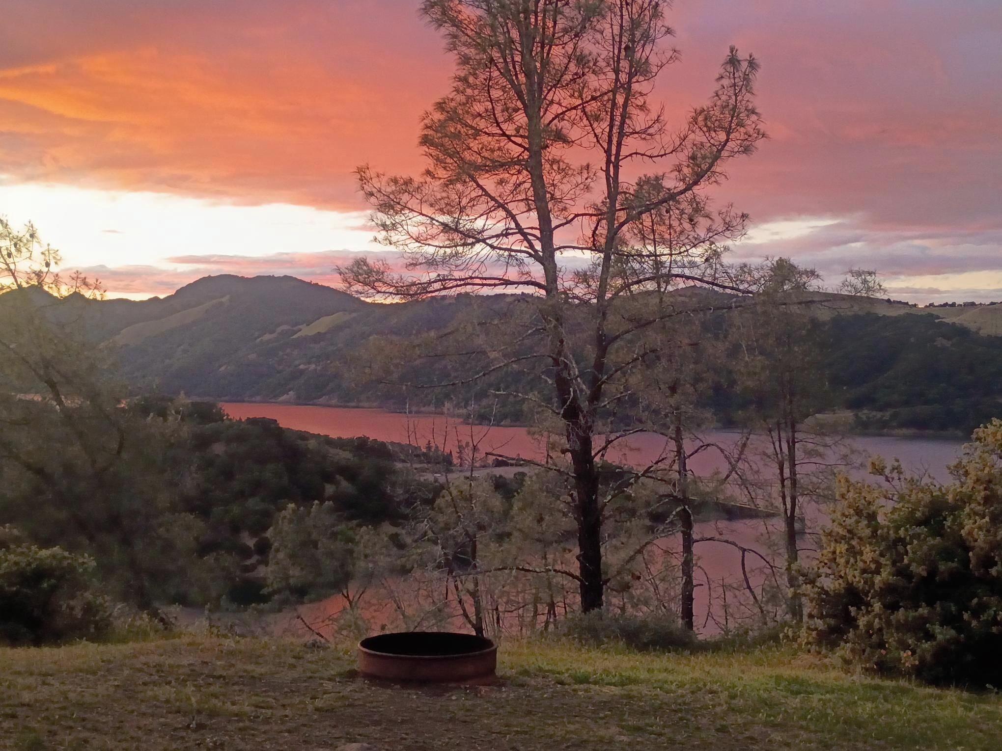 A landscape with a lake, hills, and a tree in the foreground.