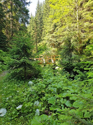 Cozy vacation home, close to the slopes and hiking trails