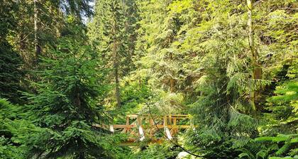 Cozy vacation home, close to the slopes and hiking trails