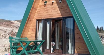 Cozy bungalow in lovely Žabljak with WiFi, AC